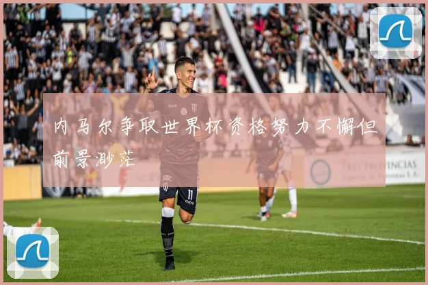 内马尔争取世界杯资格努力不懈但前景渺茫