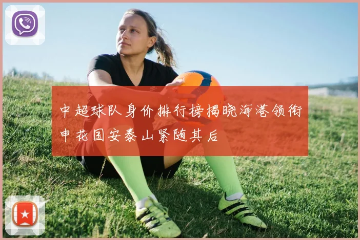 中超球队身价排行榜揭晓海港领衔申花国安泰山紧随其后