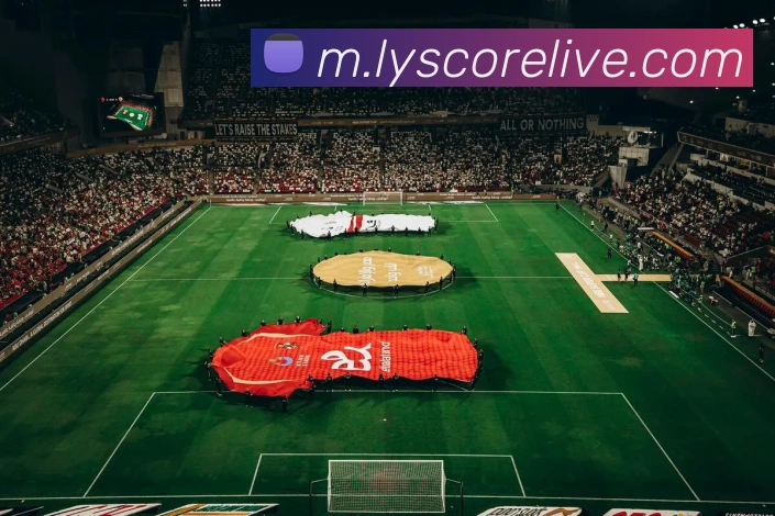 乐鱼体育平台生态图